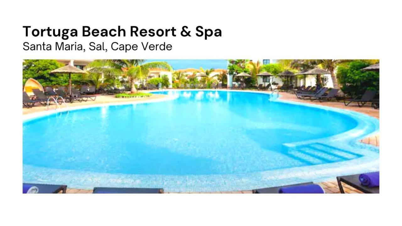 Tortuga Beach Village Private Apartments And Villas For Rent サンタ・マリア エクステリア 写真